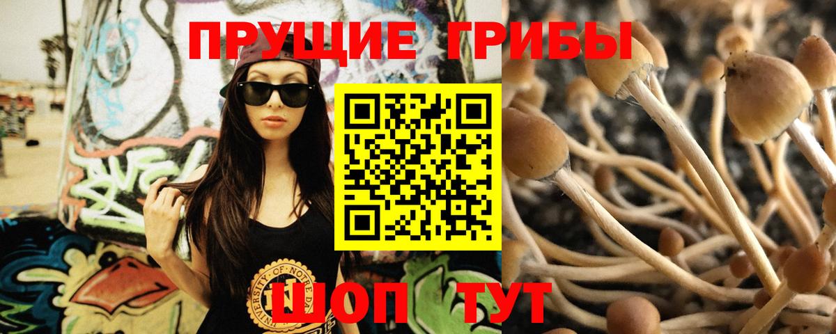 Галлюциногенные грибы ЛСД  Вход с VPN  Псилоцибиновые грибы Cubensis  Крымск 