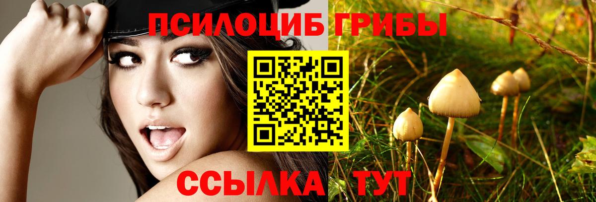 Псилоцибиновые грибы GOLDEN TEACHER Крымск
